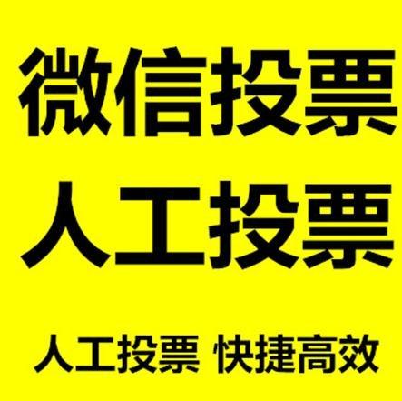 克孜勒苏柯尔克孜自治州投票活动拉票能被查出来吗？如何操作能不被发现？